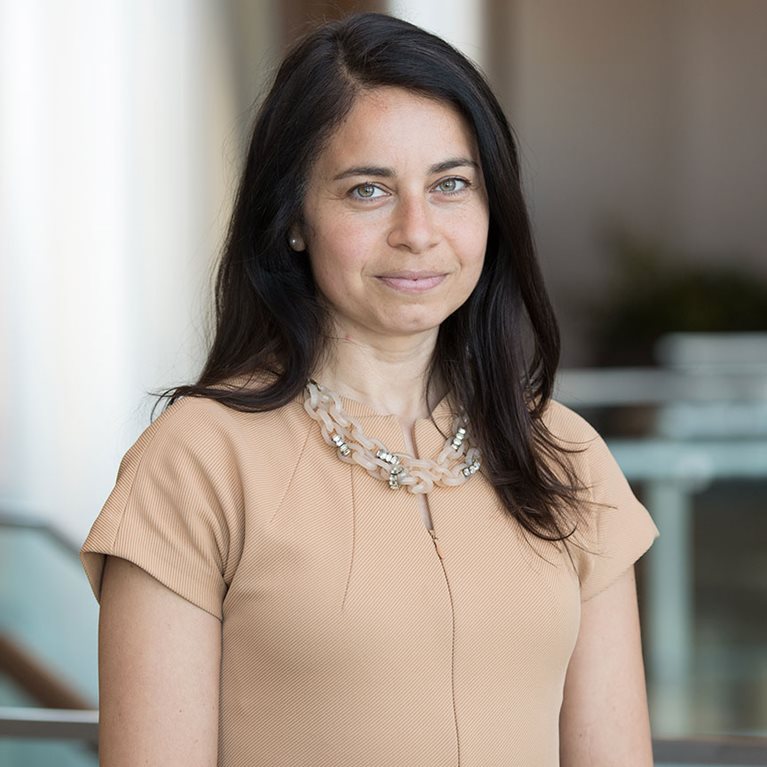 ‘Spotlight’ on board diversity McKinsey and Goldman Sachs move the needle